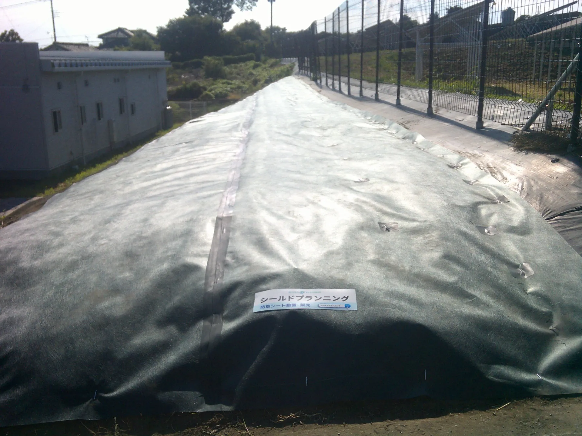 防草シート敷置4