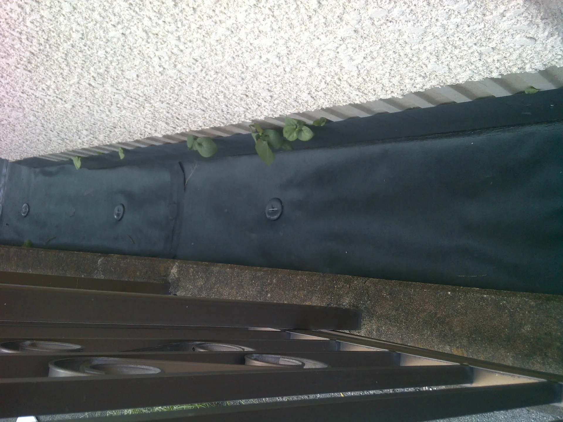 経過観察で覗いてみたら