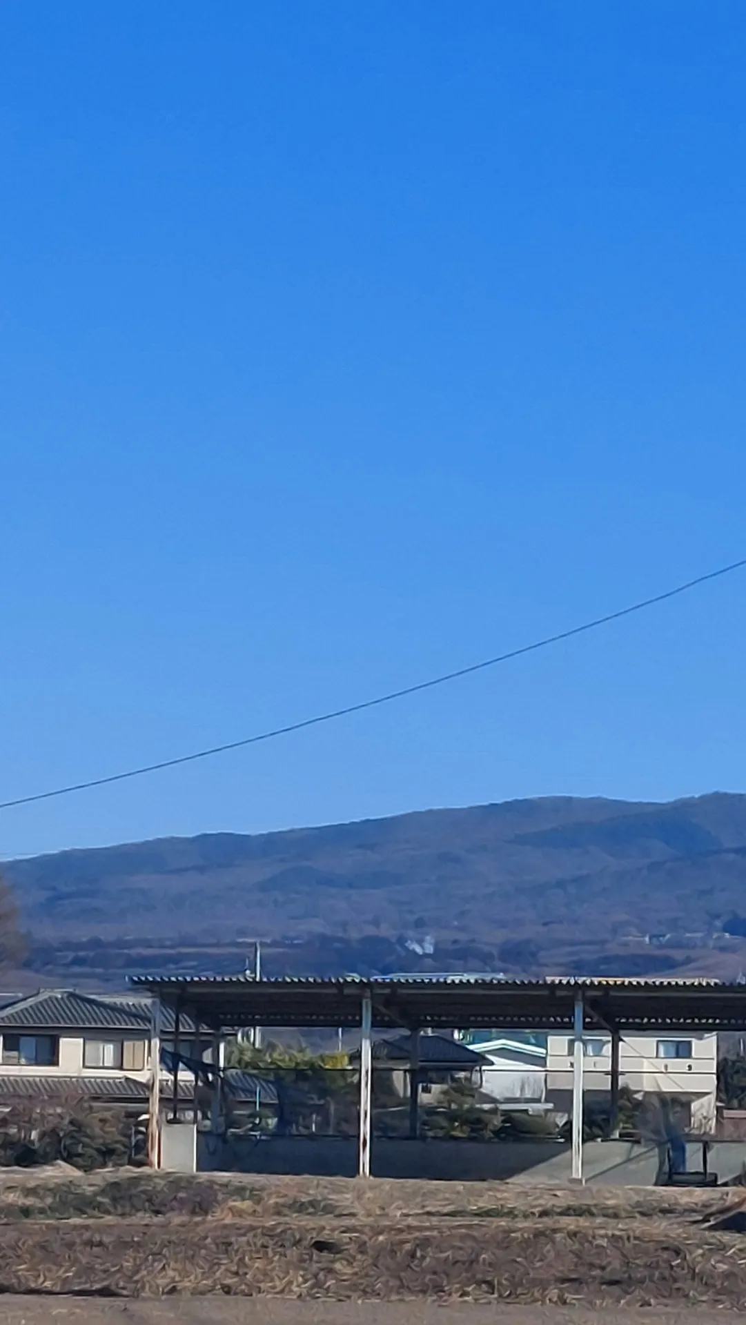 風邪なのか花粉症の症状なのか?